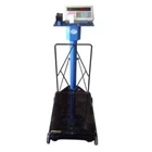Hybrid Scales weighing specifications 300kg to 2000kg 10