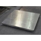 Stainless floor scales A12 2